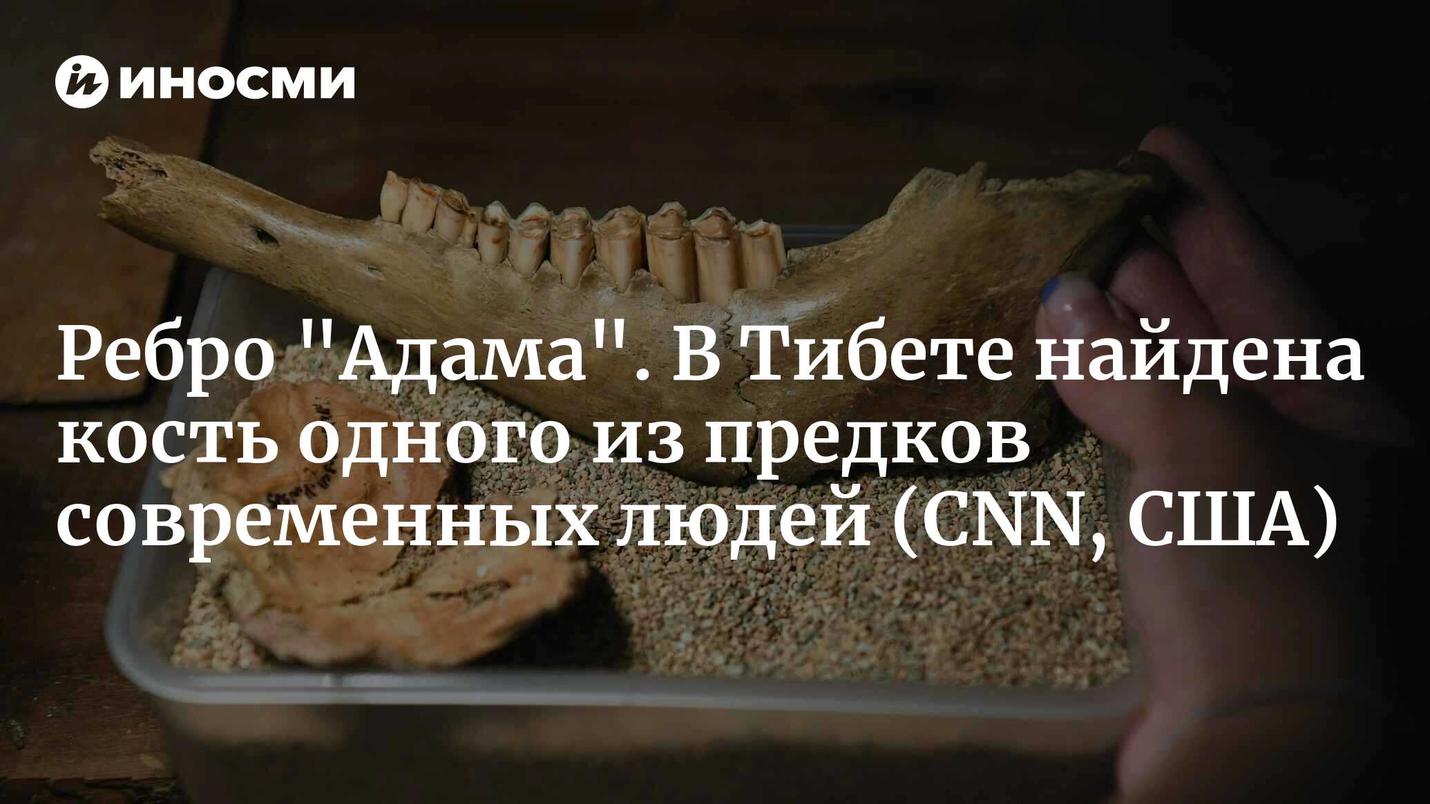 inosmi.ru