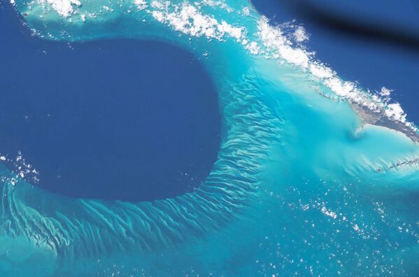 Морское дно на Багамах 24 апреля 2021 года.  