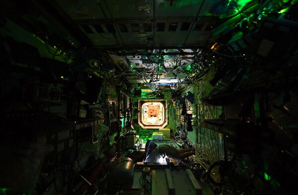 Зеленые светодиоды освещают лабораторный модуль США внутри МКС, а солнечный свет, отраженный от Земли, отражается на потолке.