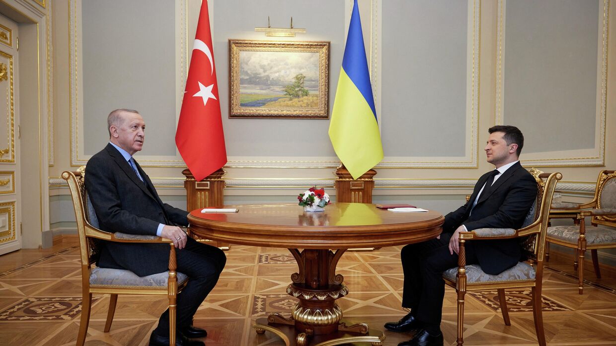 Президент Турции Тайип Эрдоган во время встречи с президентом Украины Владимиром Зеленским