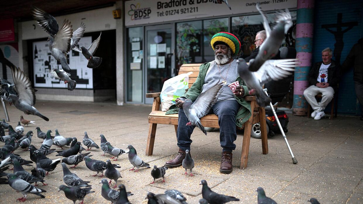 Мужчина кормит голубей в Брадфорде, Великобритания