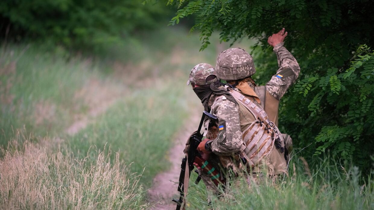Бойцы украинских сил специальных операций в лесу