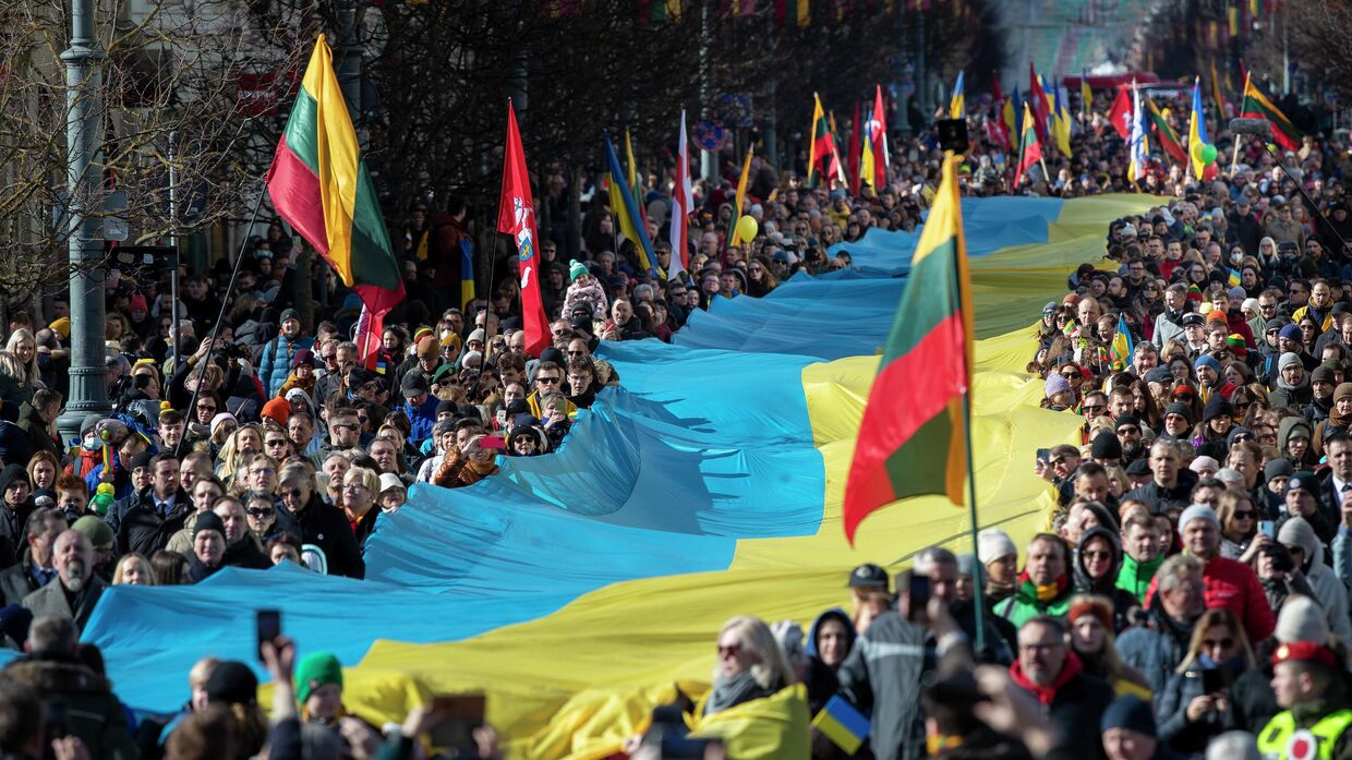 Акция протеста в Вильнюсе, Литва