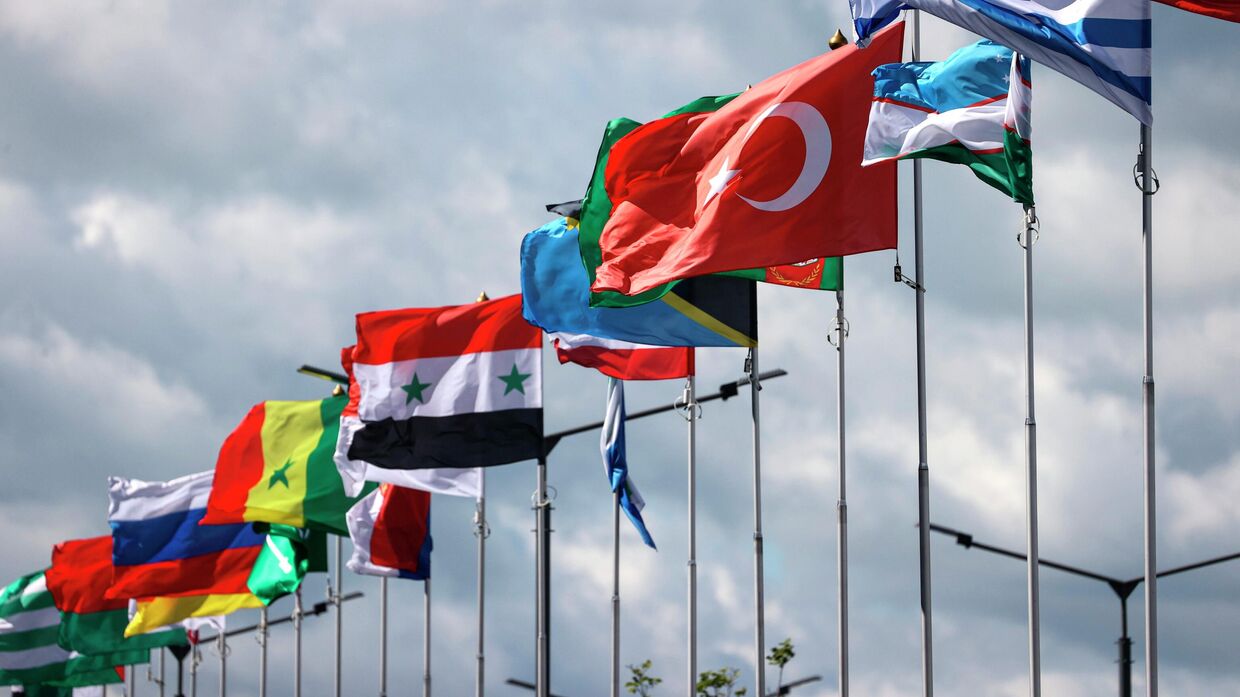 Государственные флаги стран участников XXV Петербургского международного экономического форума.