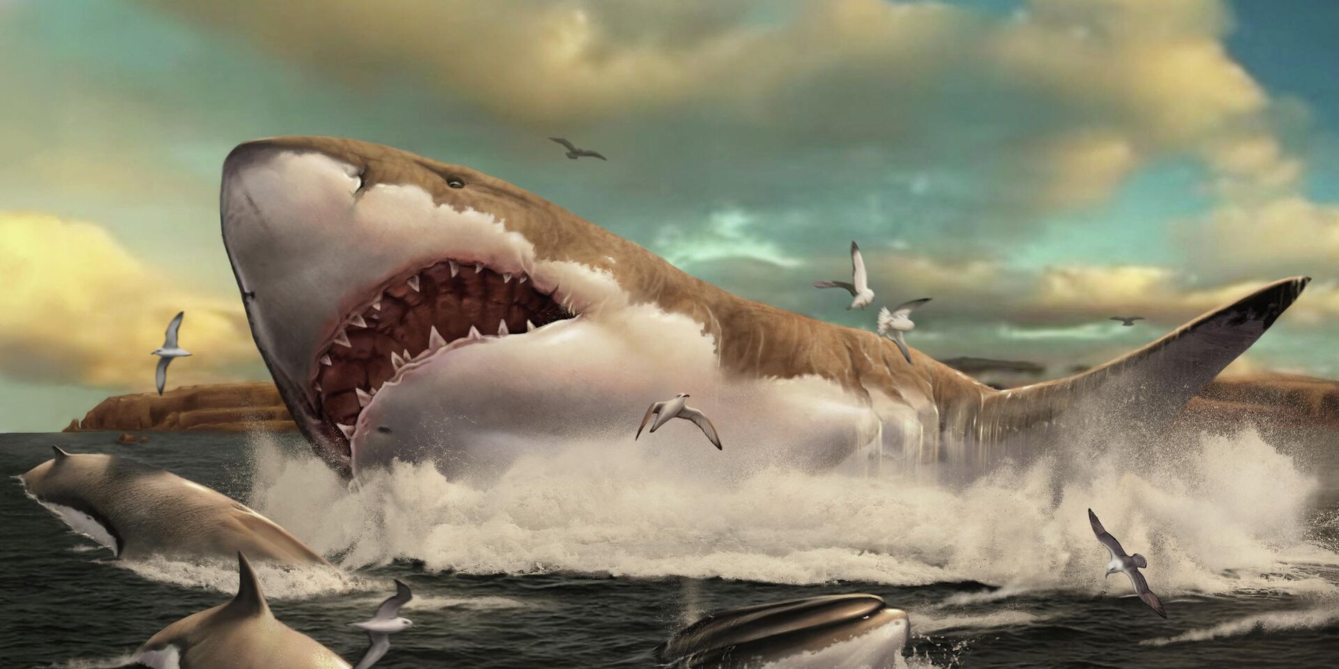 Акула мегалодон фото и белая акула