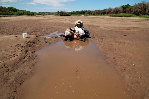 26 июля 2022 года. Биологи работают над спасением серебристых пескарей Рио-Гранде, находящихся под угрозой исчезновения, в пересохшем русле реки Рио-Гранде в Альбукерке, штат Нью-Мексико, США