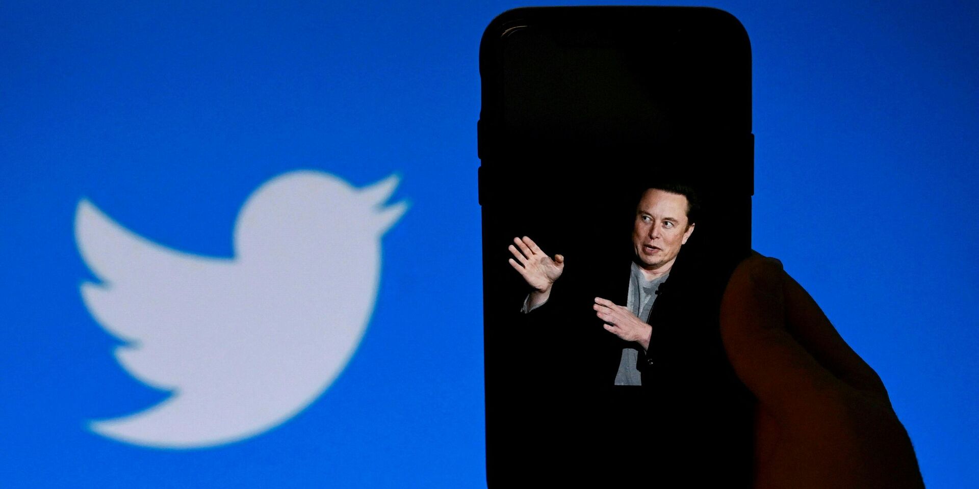 Фотография Илона Маска на экране смартфона и логотип Twitter - ИноСМИ, 1920, 01.12.2022