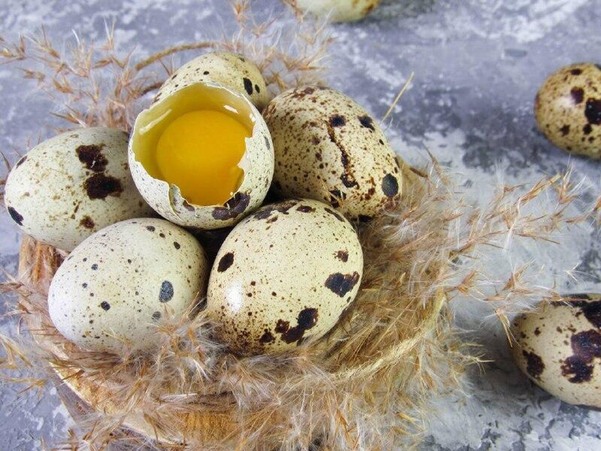Перепелиные яйца польза и вред калорийность как выбрать | Сайт Здоровье и Питание