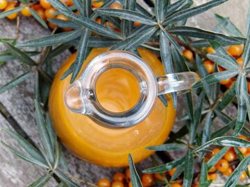 Облепиха Облепиха