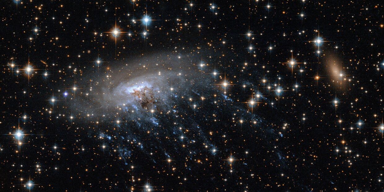 Галактика медуза, получившая название ESO 137-001