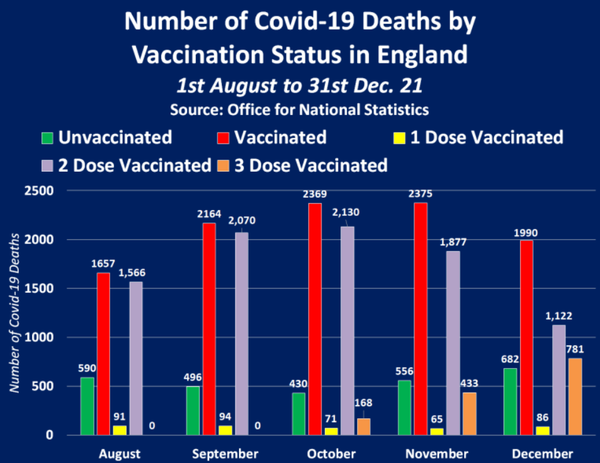 Число смертей от коронавируса у вакцинированных и невакцинированных британцев. Данные с 1 августа по 31 декабря 2021 года