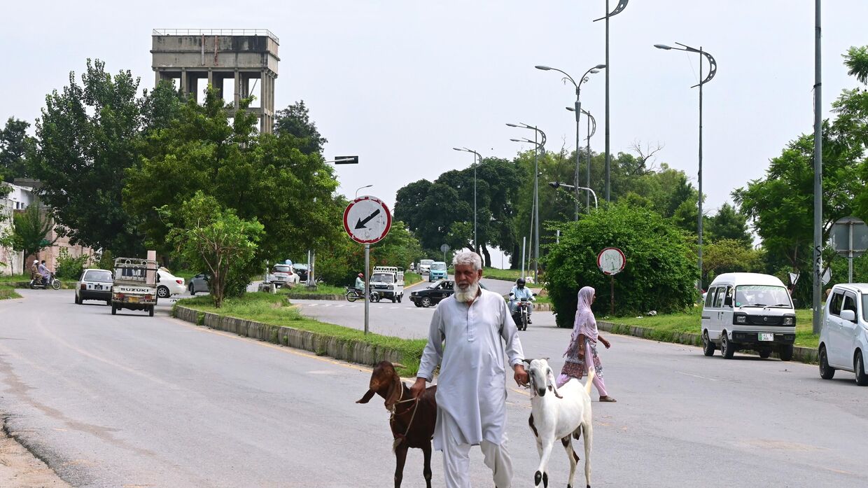 Мужчина ведет жертвенных козлов на одной из улиц Исламабада перед мусульманским праздником жертвоприношения Курбан-Байрамом.