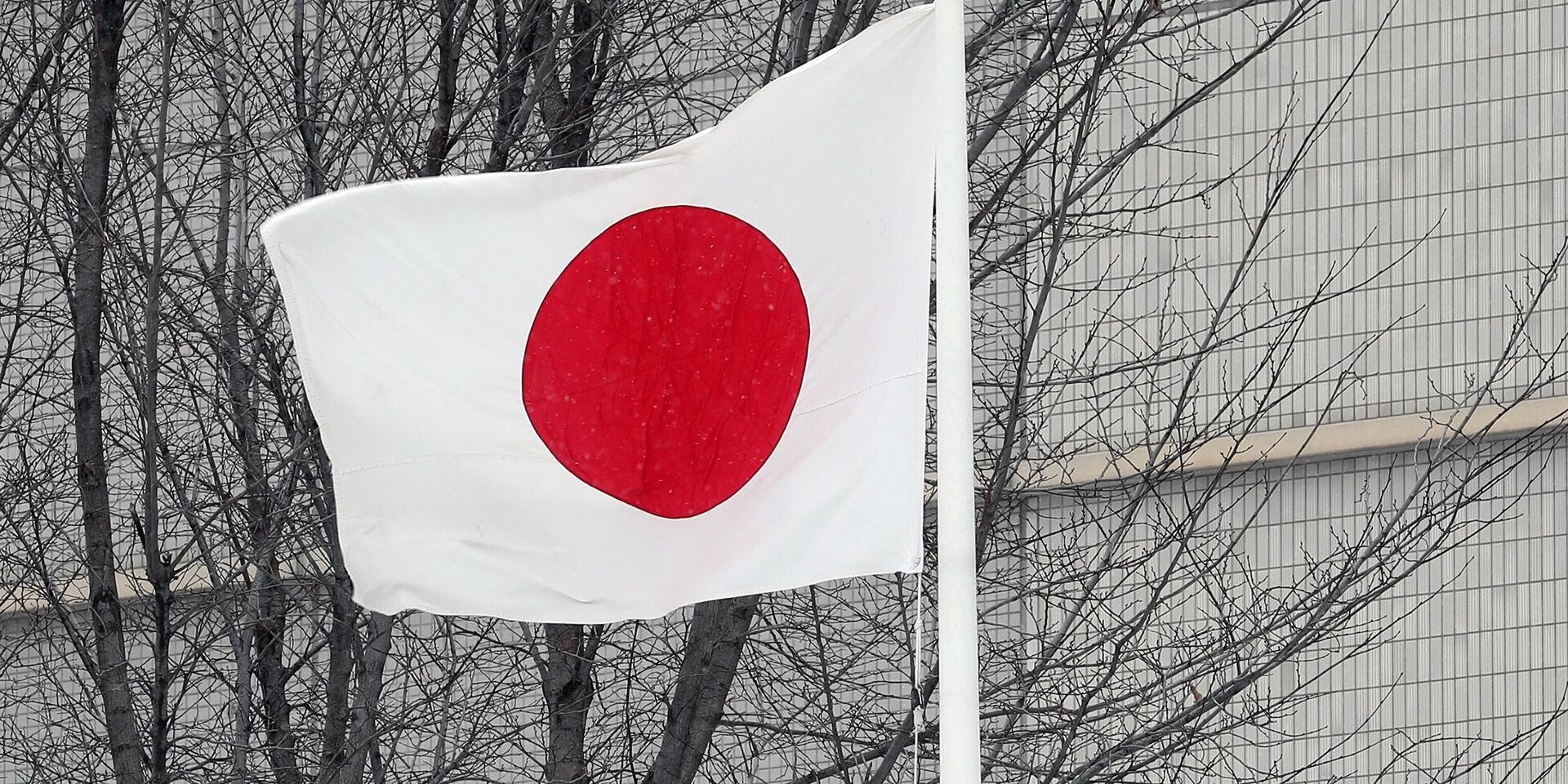 Флаг на здании посольства Японии в Грохольском переулке в Москве. - ИноСМИ, 1920, 27.06.2023