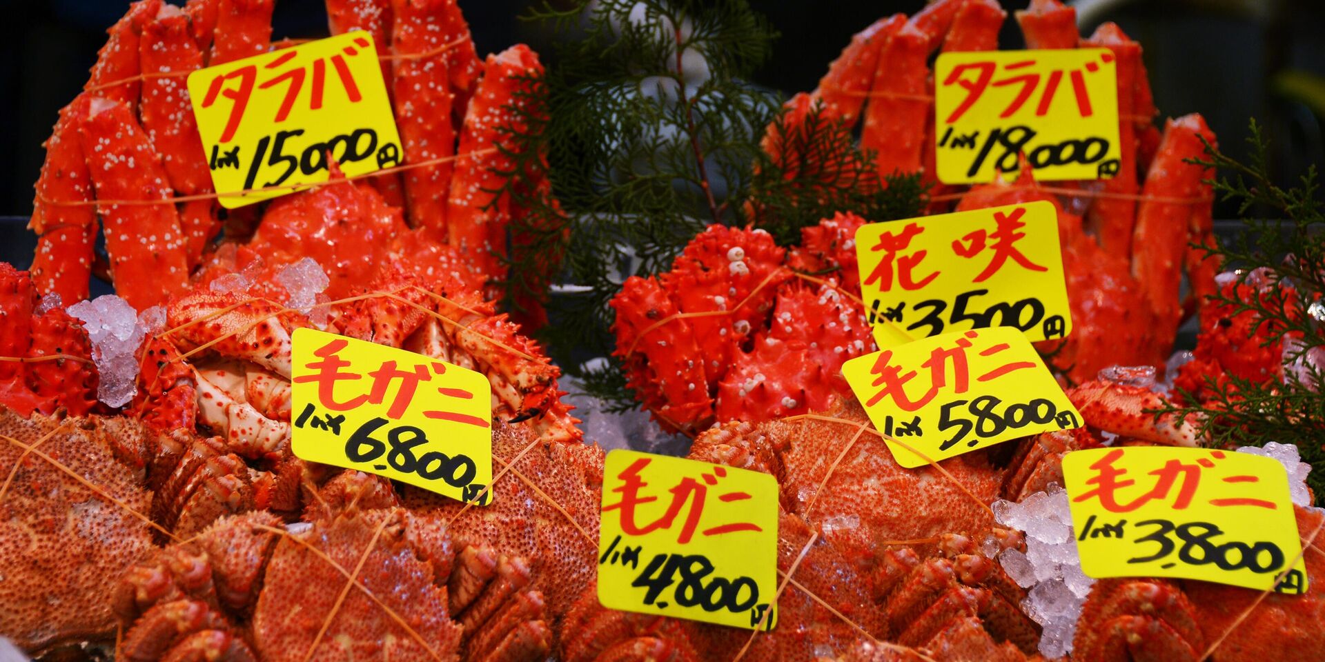Торговля морепродуктами на рыбном рынке Цукидзи в Токио. - ИноСМИ, 1920, 02.12.2023