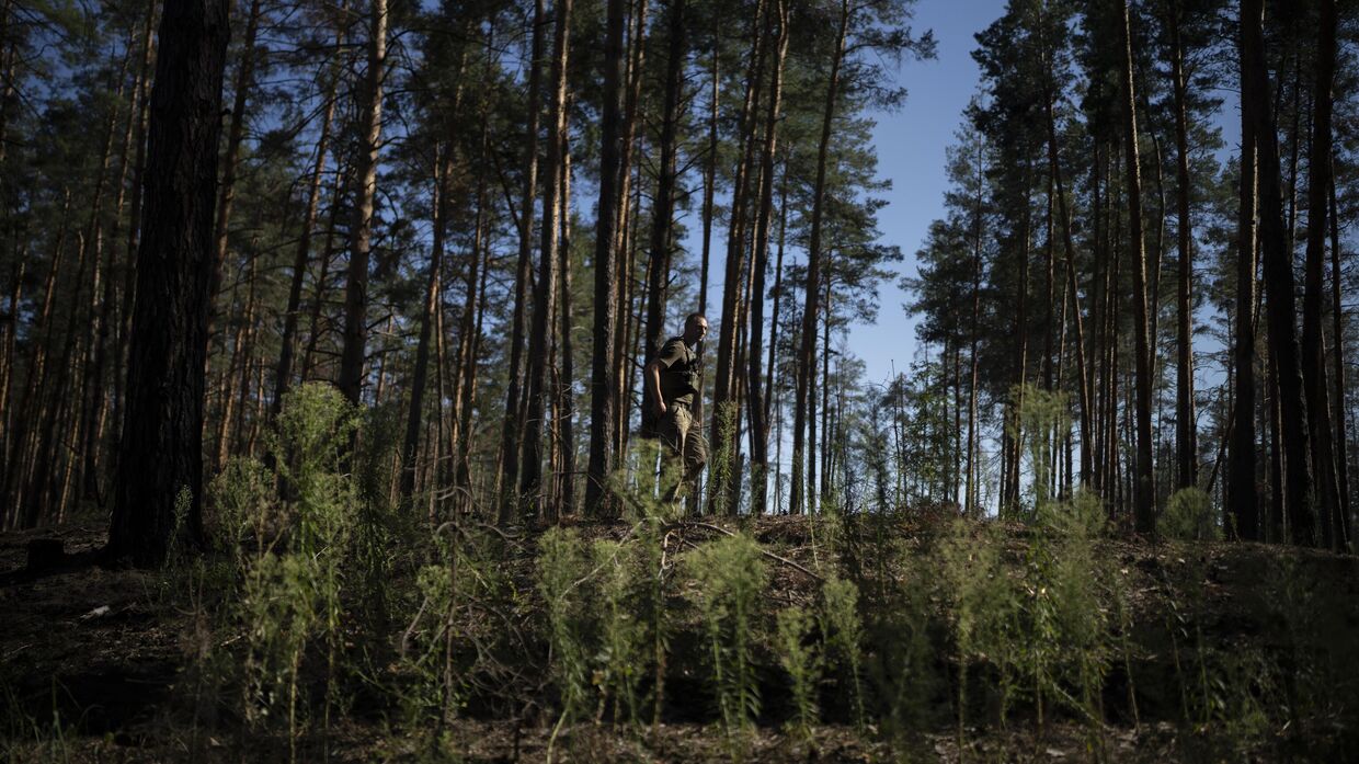 Украинский солдат идет по лесу на линии фронта на окраине Лимана