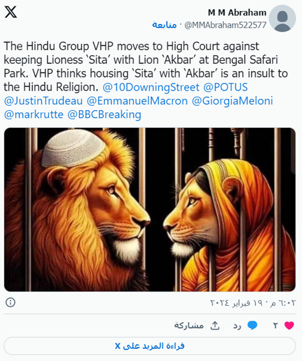 Львы Сита и Акбар