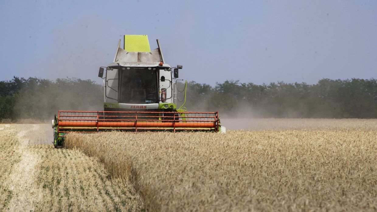 Уборка зерновых на освобожденных территориях Запорожской области