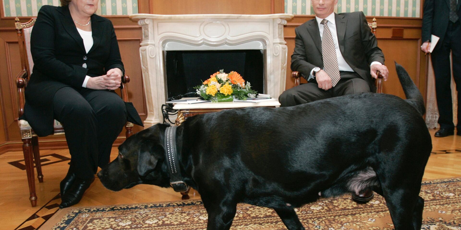Собака президента России Владимира Путина — лабрадор Кони - ИноСМИ, 1920, 23.06.2024