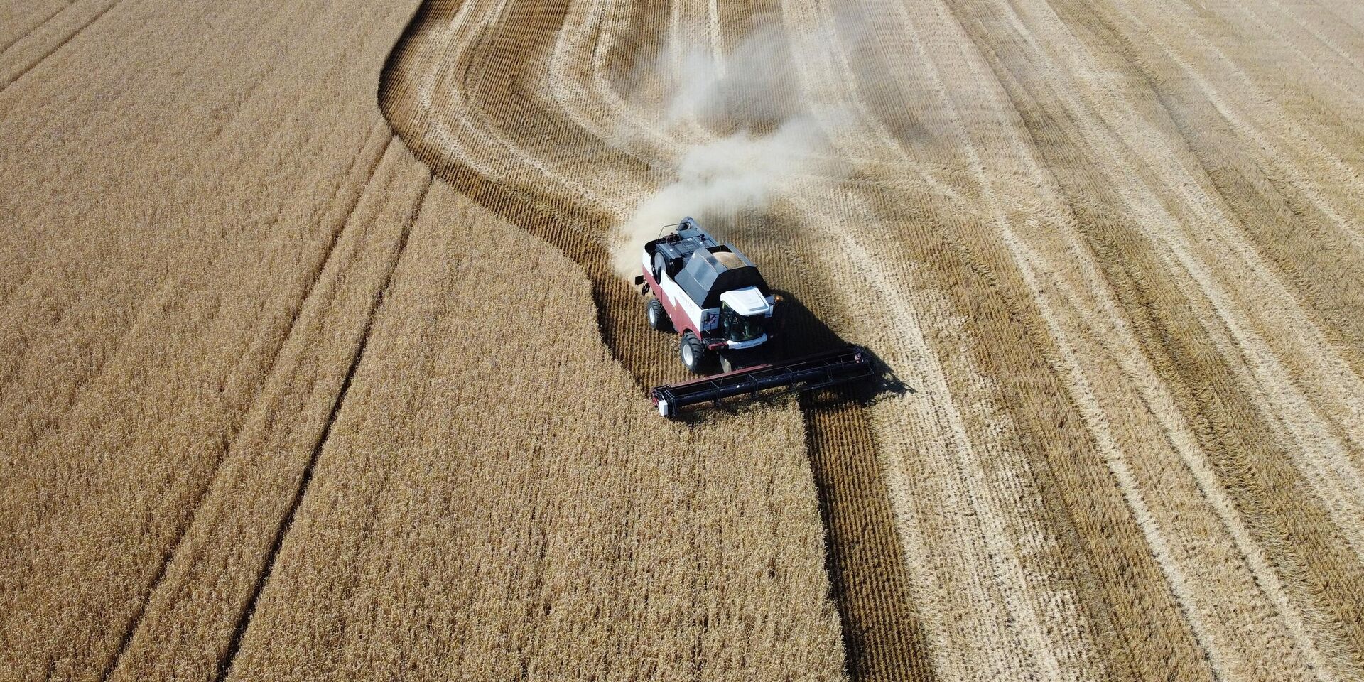 Сбор урожая пшеницы в Ростовской области - ИноСМИ, 1920, 16.10.2025