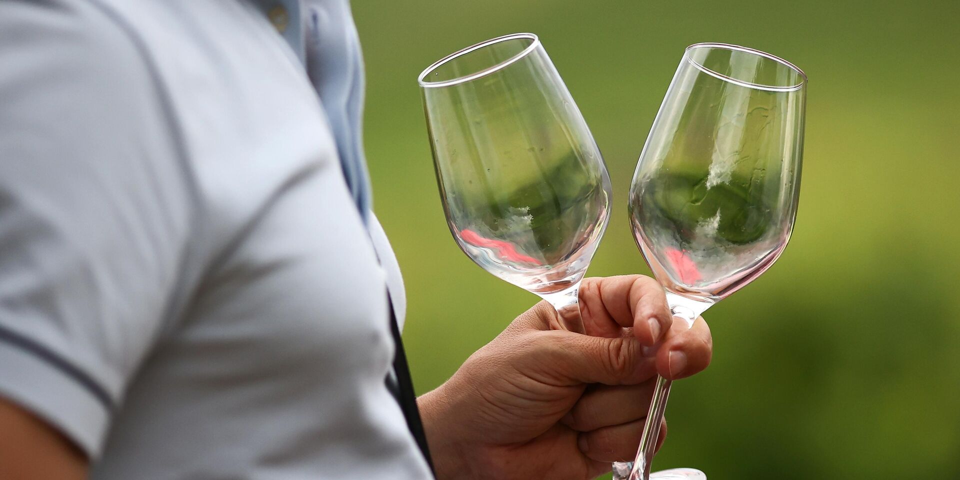 Фестиваль летних вин Цвет лозы 2024 - ИноСМИ, 1920, 22.12.2025