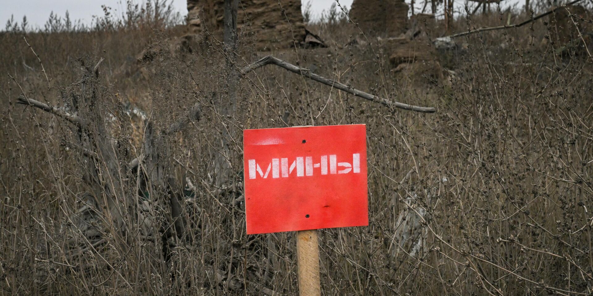 Расчистка и разминирование дорог в Покровском районе ДНР саперами 12-й инженерно-саперной бригады группировки войск Центр - ИноСМИ, 1920, 29.05.2025