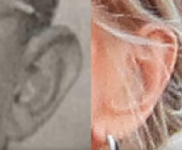 Уши Жана-Мишеля и Брижит вблизи. Кадр из видео