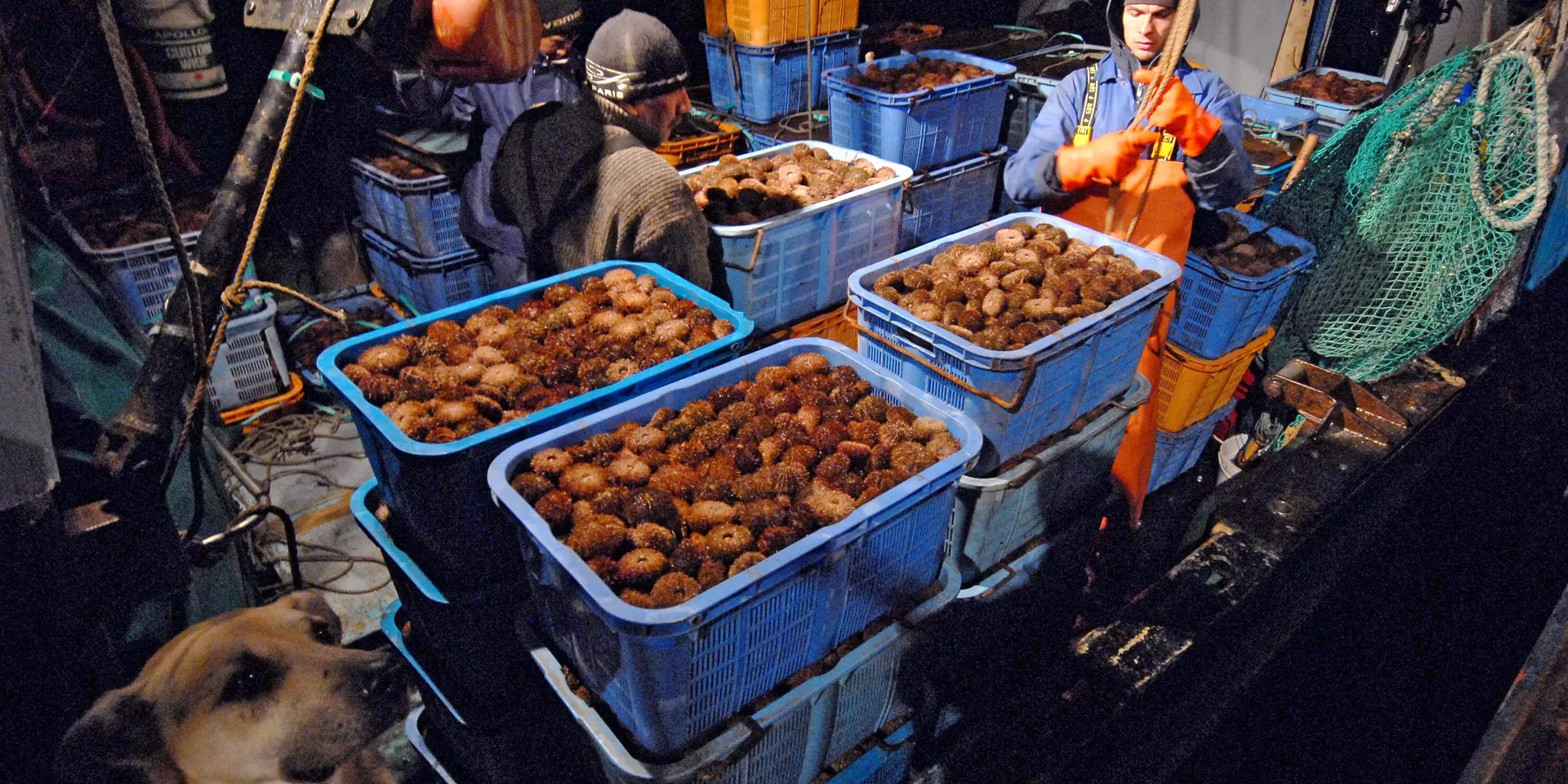 Виды России. Курильские острова - ИноСМИ, 1920, 30.04.2025