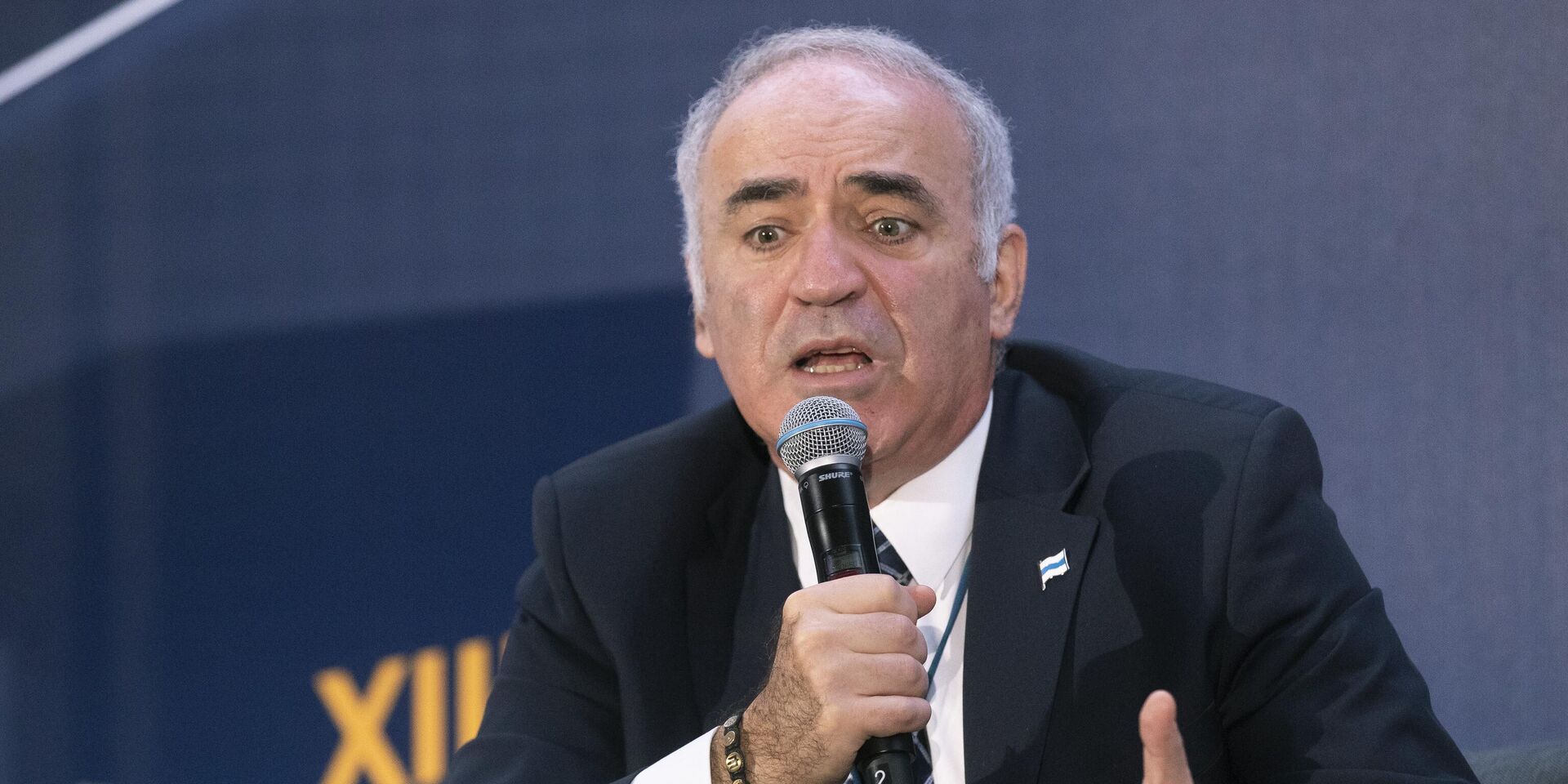 Бывший чемпион мира по шахматам, оппозиционер Гарри Каспаров - ИноСМИ, 1920, 27.01.2026