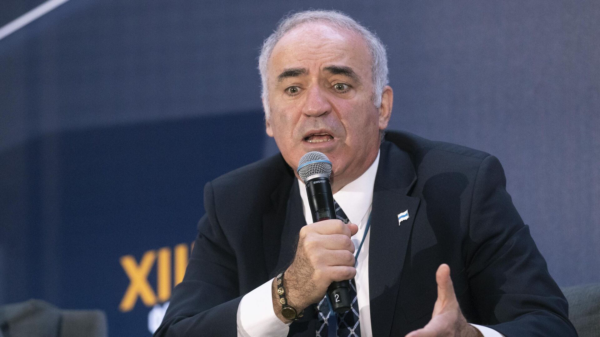 Бывший чемпион мира по шахматам, оппозиционер Гарри Каспаров - ИноСМИ, 1920, 26.06.2025