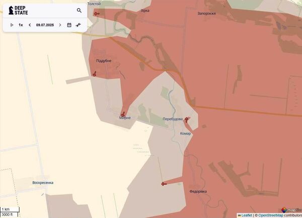 Линия фронта на Новопавловском направлении по состоянию на 9 июля/DeepStateMAP