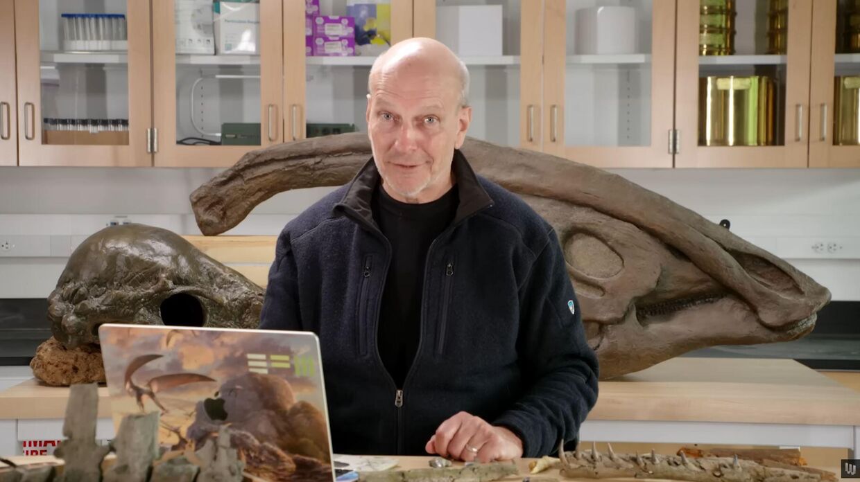 Почему след динозавра живет миллионы лет, а ДНК — нет? Ответ палеонтолога