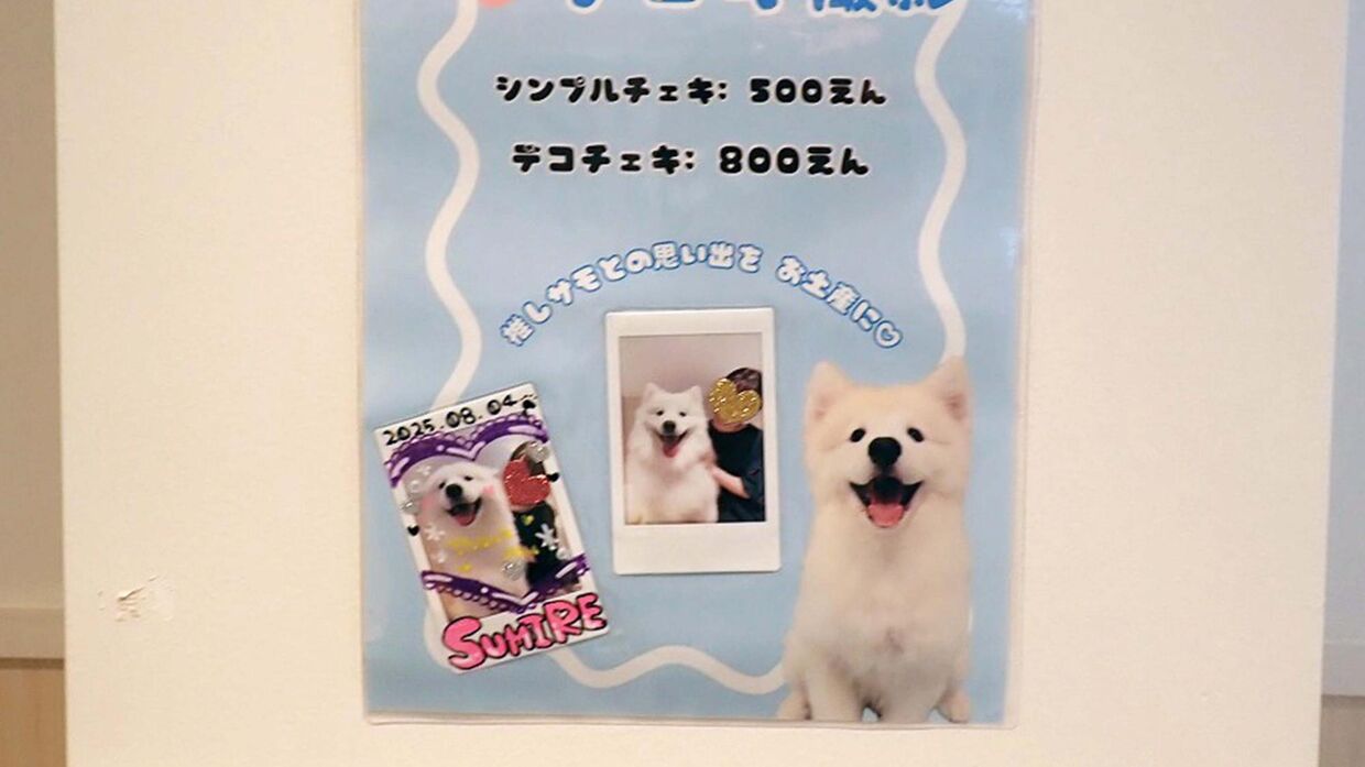 Кафе с самоедами 