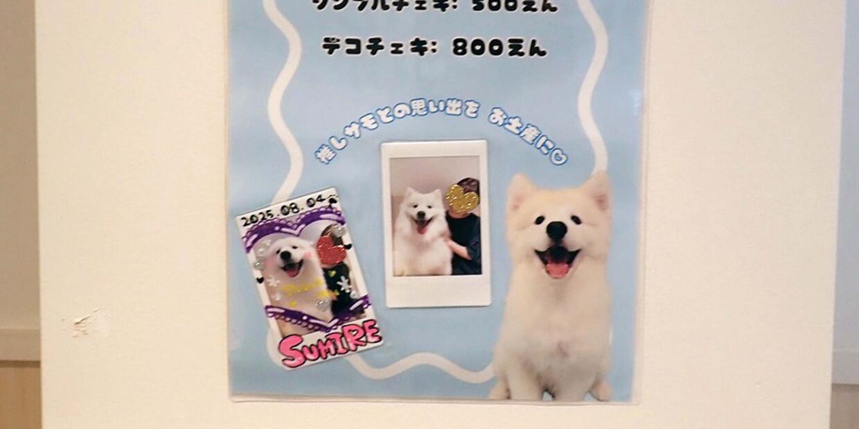 Кафе с самоедами 