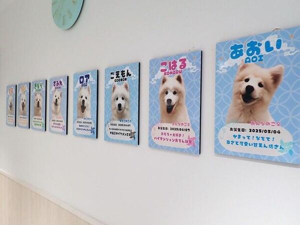 Кафе с самоедами 3