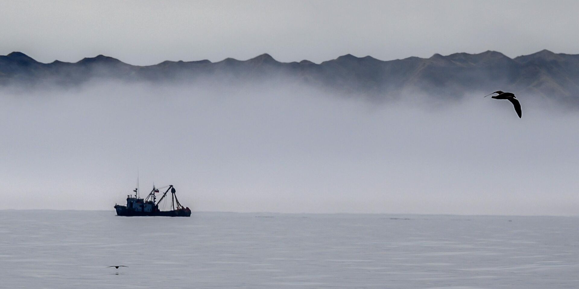 Промышленная ловля рыбы у берегов Курильских островов - ИноСМИ, 1920, 04.09.2025