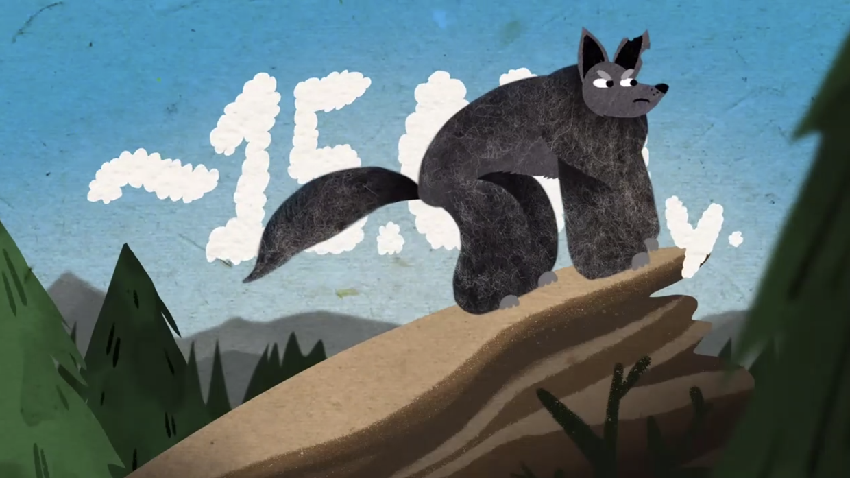 Порода ничего не значит: вот что на самом деле формирует характер собаки