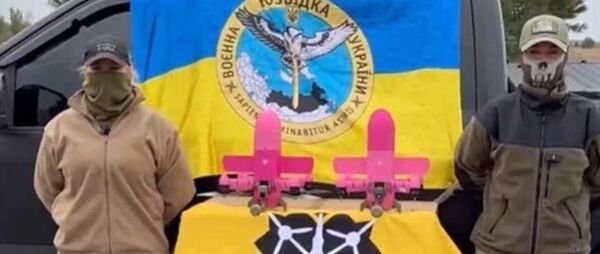 Розовые дроны Sting