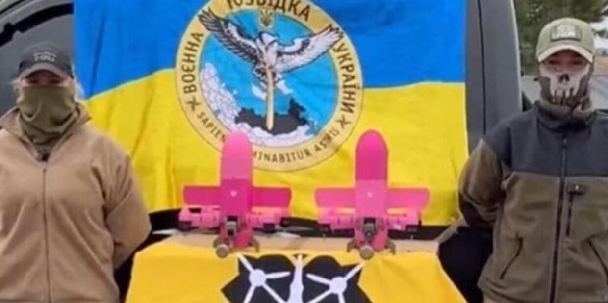 Розовые дроны Sting