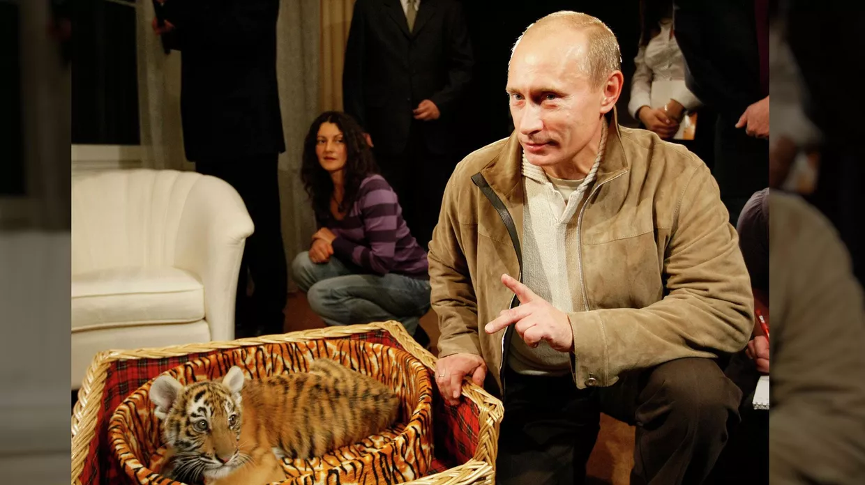 Владимир Путин представил журналистам подаренного тигренка