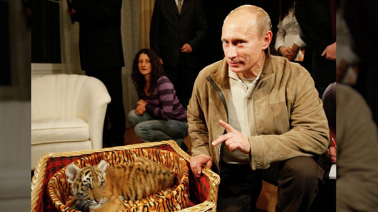 Владимир Путин представил журналистам подаренного тигренка