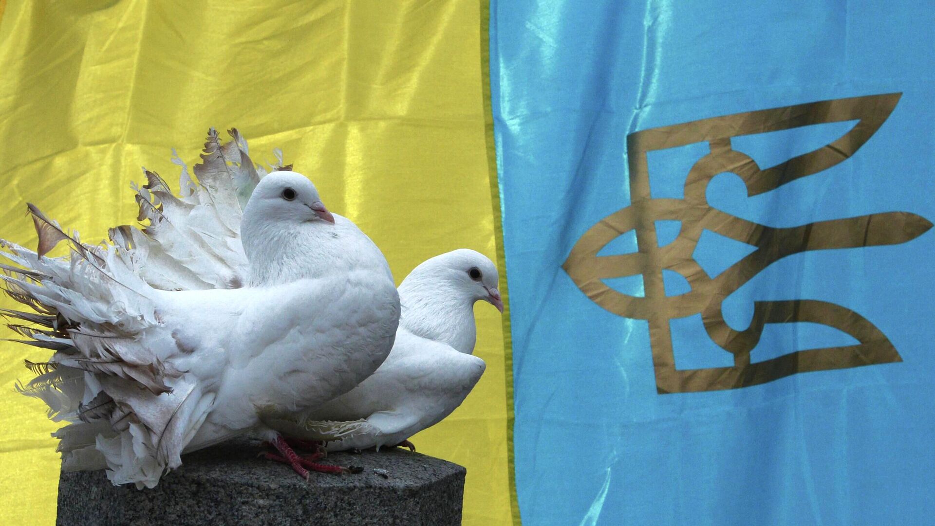 Белые голуби на фоне национального флага Украины  - ИноСМИ, 1920, 27.11.2025