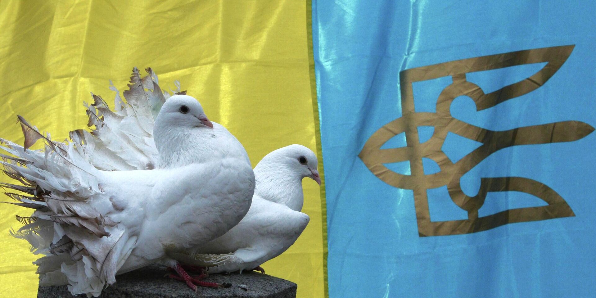 Белые голуби на фоне национального флага Украины  - ИноСМИ, 1920, 11.12.2025