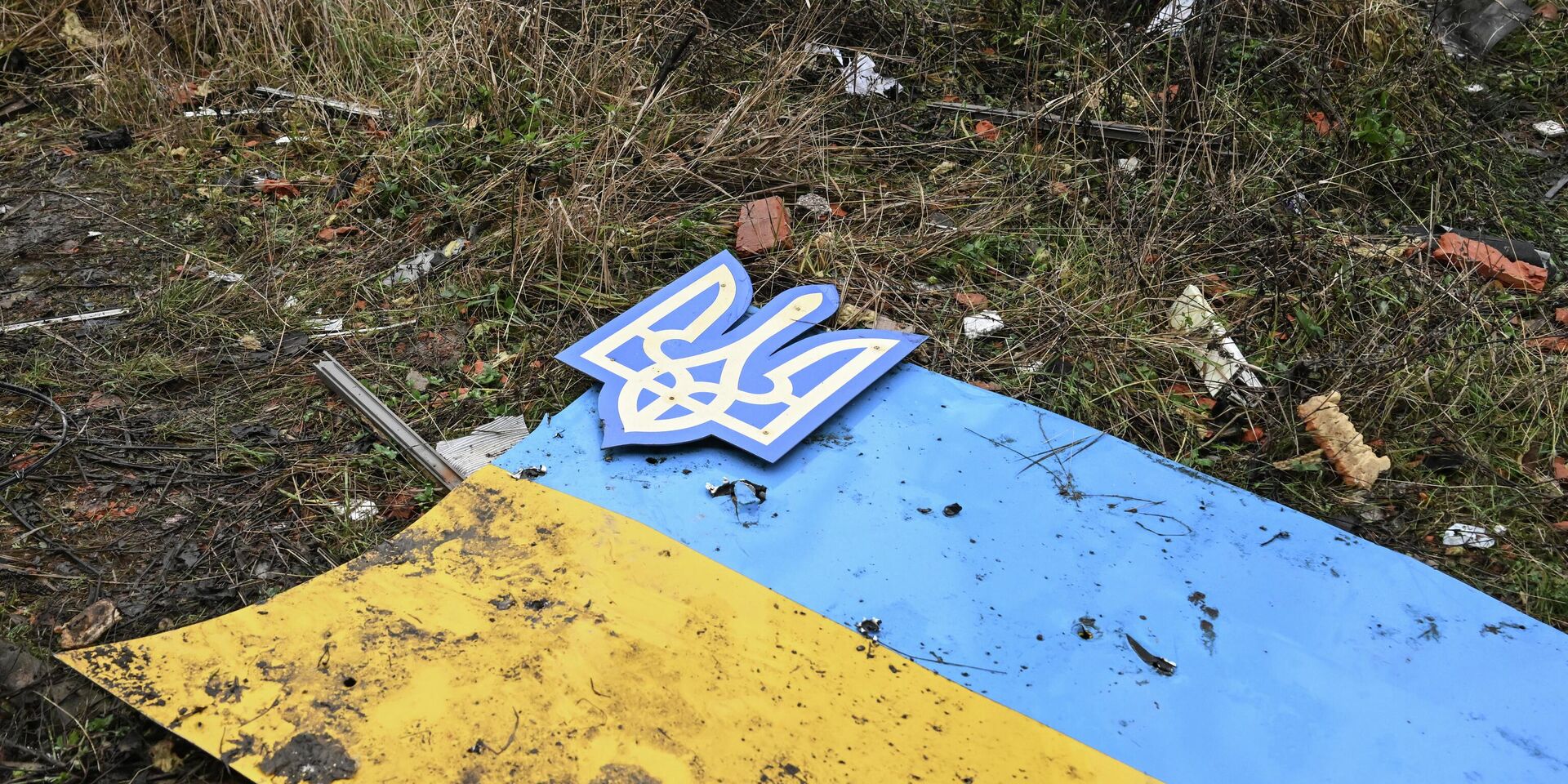 Флаг и герб Украины - ИноСМИ, 1920, 16.12.2025