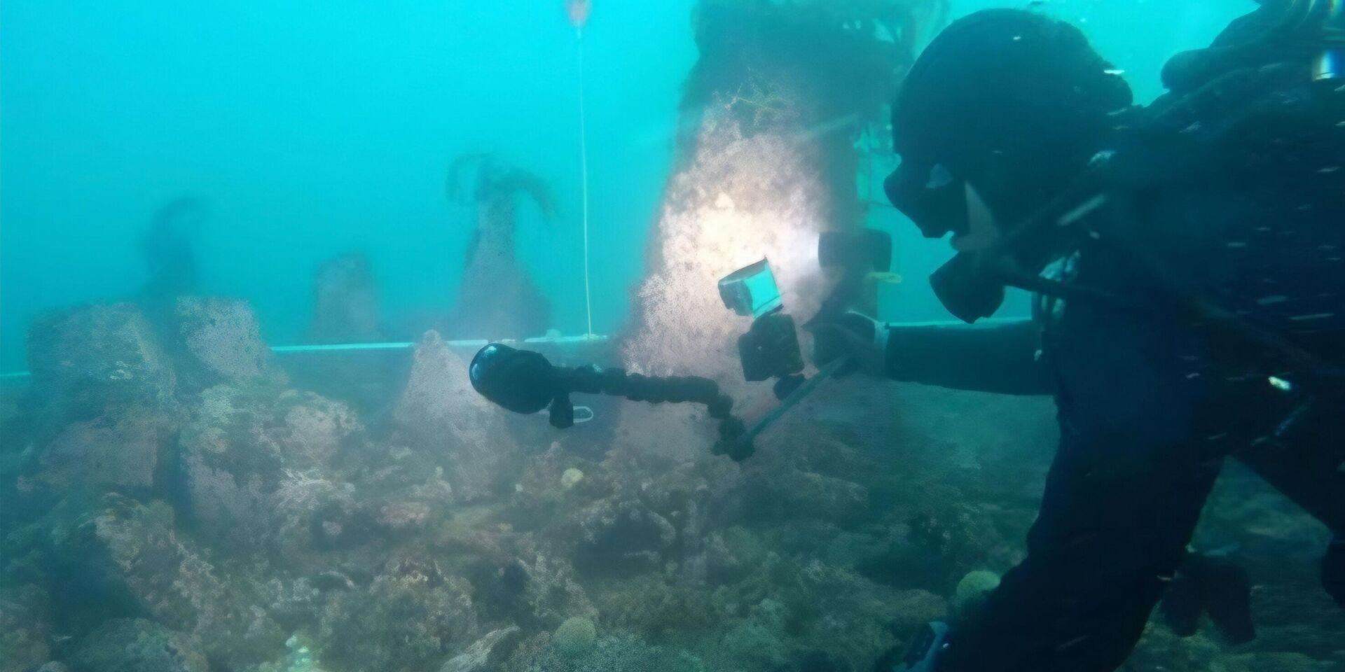 Дайвер осматривает подводную стену у берегов Франции - ИноСМИ, 1920, 11.01.2026