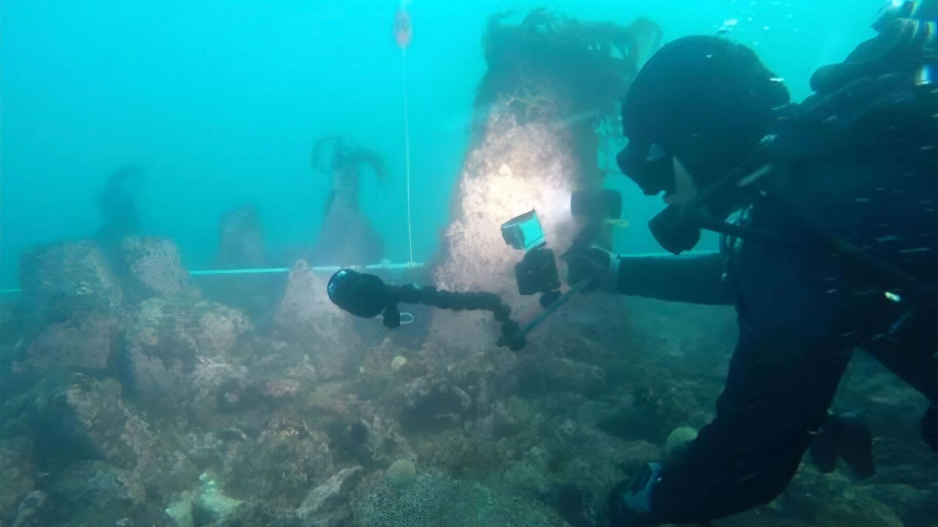 Дайвер осматривает подводную стену у берегов Франции - ИноСМИ, 1920, 11.01.2026