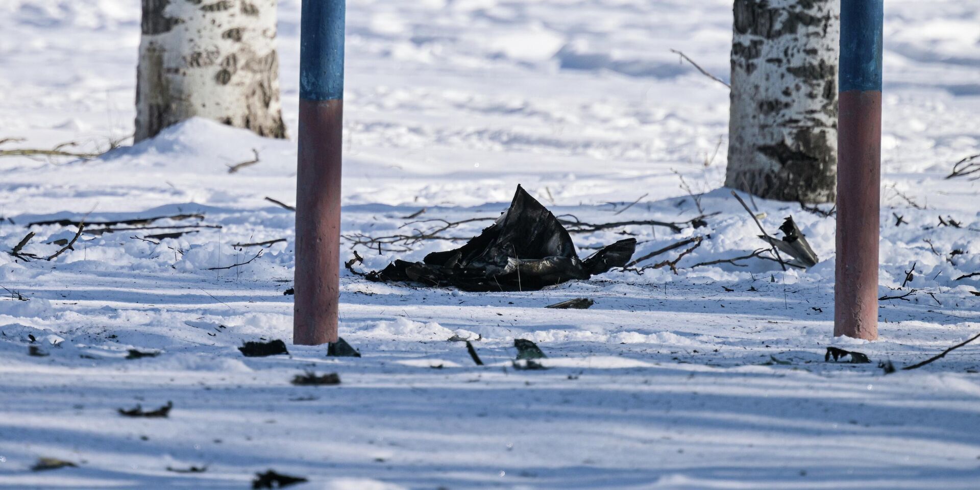 Обломки БПЛА ВСУ - ИноСМИ, 1920, 30.01.2026