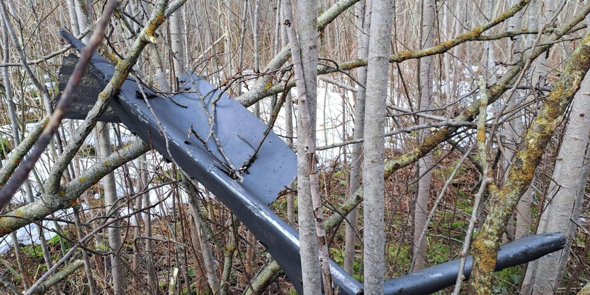 Упавший в Краславском крае украинский БПЛА, Латвия - ИноСМИ, 1920, 26.03.2026