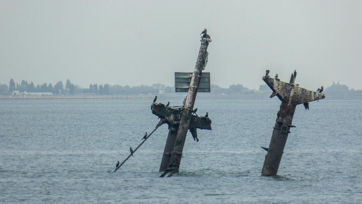 Мачты затонувшего судна Richard Montgomery