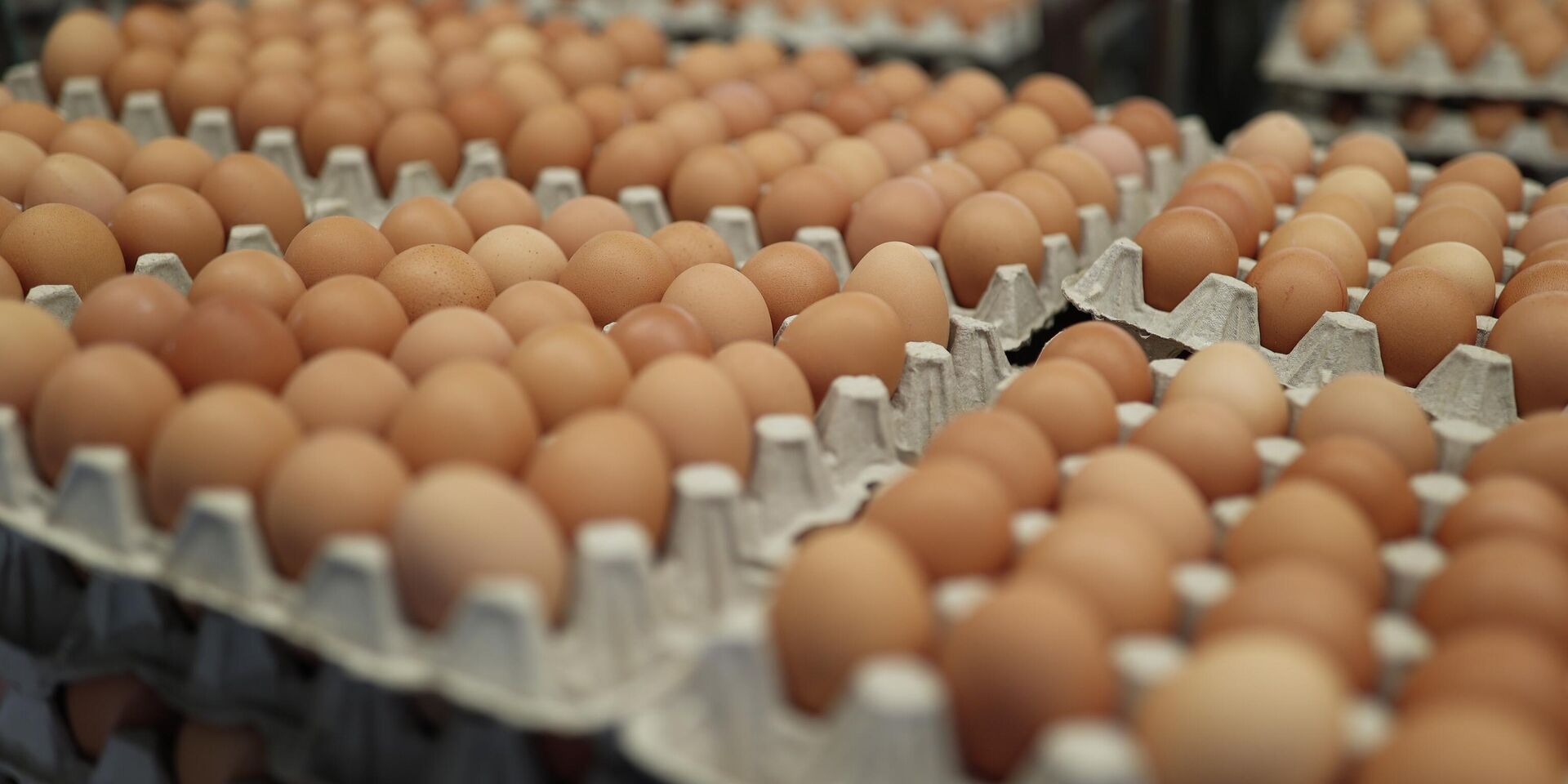 Куриные яйца - ИноСМИ, 1920, 21.04.2026