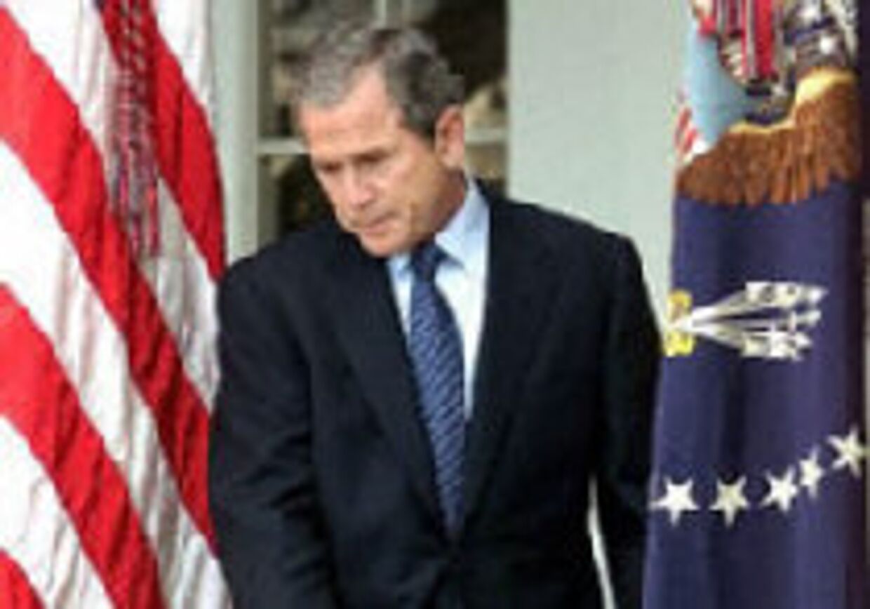 Буш-младший загнан в угол picture